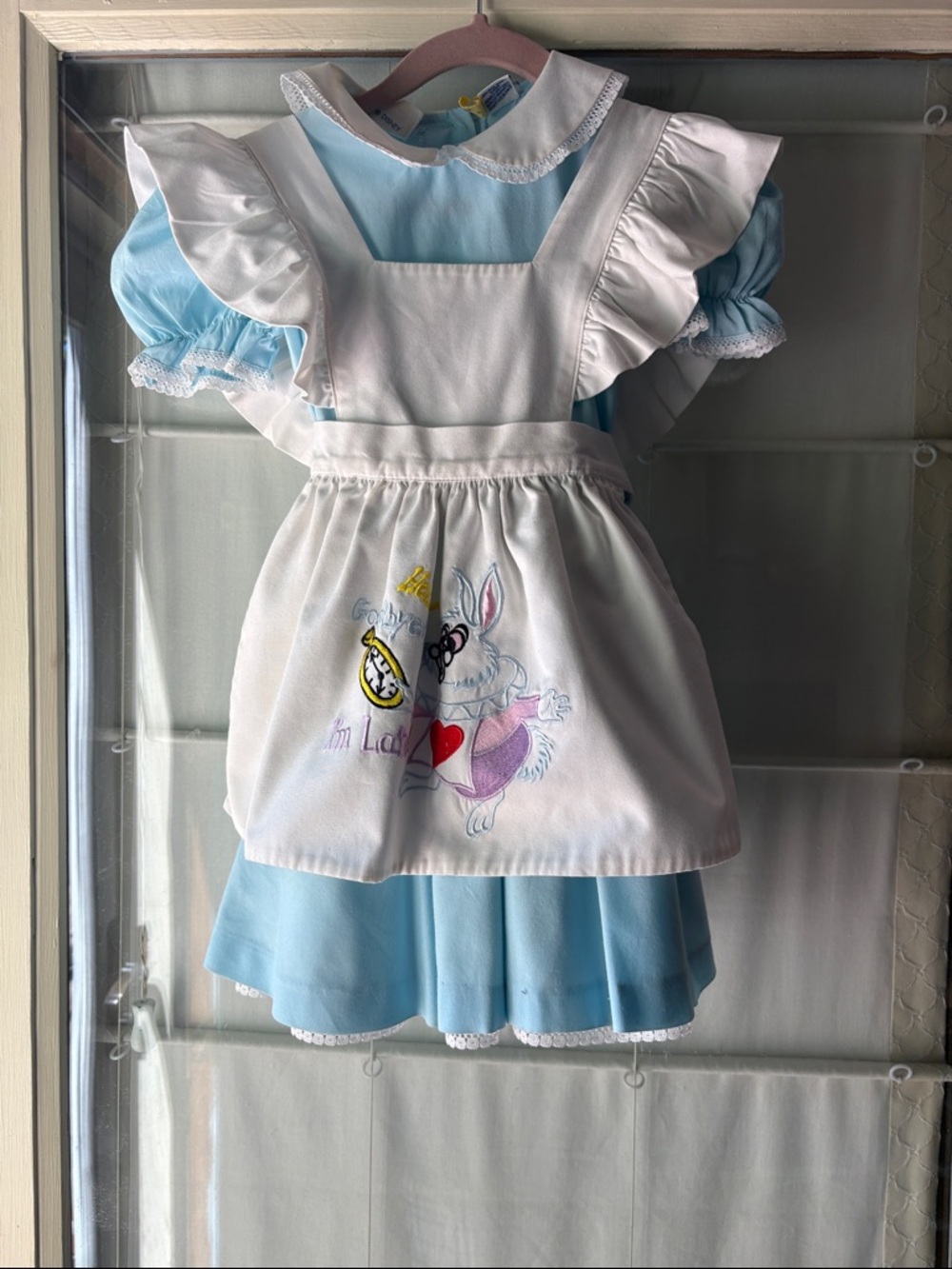 Disney Light Blue and White Alice-Inspired Kids Dress with Apron